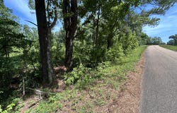 Sleepy Hollow Road, Terry, MS 39170
