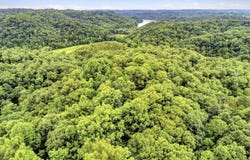 Scott Finley Road, Burkesville, KY 42141