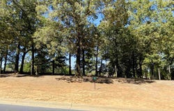 Easy St lot: 1, Frankston, TX 75763