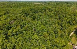 Pleasant Run, West Liberty, KY 41472