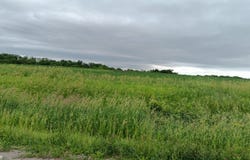 Ash Avenue, Batavia, IA 52533