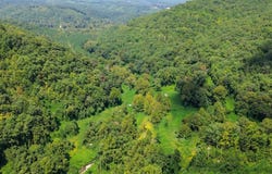 02 Little White Oak Rd., Duff, TN 37729