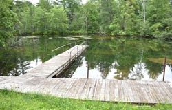 2194 W Jab Drive, Baldwin, MI 49304