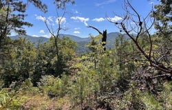 9999 US Hwy 441 S, Sylva, NC 28779