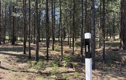 13471 Dahlia, Black Butte Ranch, OR 97759