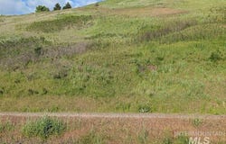 Clearwater Drive, Juliaetta, ID 83535