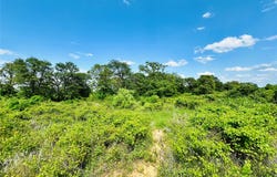 Cr 429, Cross Plains, TX 76443