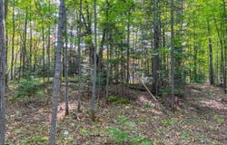 Parcel B M28 Highway, Marquette, MI 49855