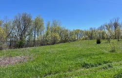 Alum Trail lot: 11, Grey Eagle, MN 56336