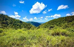 Cayey, Cayey, PR 00736