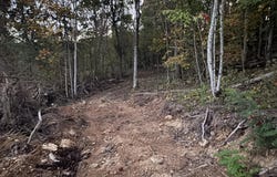 Ray Johnson Road, East Bernstadt, KY 40729