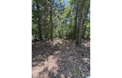 ASHBOROUGH DRIVE lot: 117, COTTONDALE, AL 35453