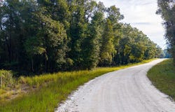 0001 NE 807th Ave, Old Town, FL 32680