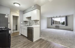 1375 Rebecca Drive, Hoffman Estates, IL 60169