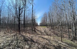 Gulley Road, Maple, WI 54854