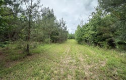 Colice Hall Lane, Ahoskie, NC 27910