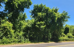 10 & 6 CARTER Road, PRINCETON, NJ 08540
