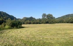 Mill Creek Rd, Carrollton, KY 41008