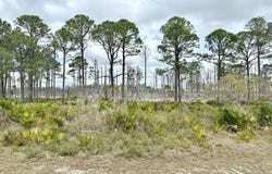 SW 100th Pl lot: 48, Cedar Key, FL 32625