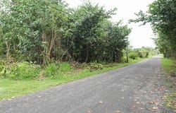 AMAU RD, Keaau, HI 96749