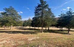 165 River Road, Hardy, AR 72542