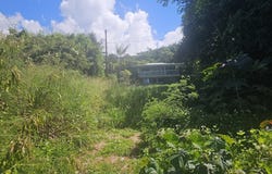 KAHAULOA RD, Captain Cook, HI 96704