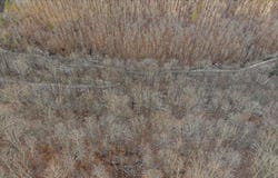 Nada Tunnel Rd, Stanton, KY 40380