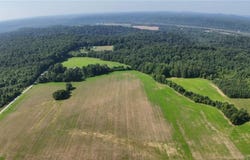 14235 Kintner Bottom Road SE, Laconia, IN 47135