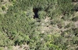 Langham Road, Kountze, TX 77625