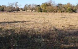 3415, Wills Point, TX 75169