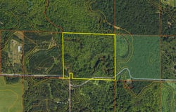 3804 E Wilson Road, Custer, MI 49405