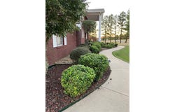3 Bluff Drive, Russellville, AR 72802