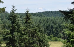 12345 Case RD SW, Olympia, WA 98512