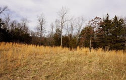 446-29043-000 OAKRIDGE DRIVE, Gepp, AR 72538