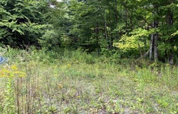 4716 Route 5, Sutton, VT 05867