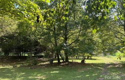 335 Catawba Avenue, Davidson, NC 28036