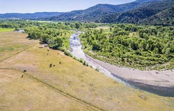 USFS RD 613, Arboles, CO 81147