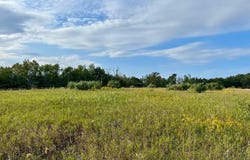 Skinner Road, Ellsworth, MI 49729