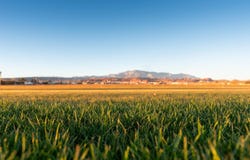 1100 E St, Washington, UT 84780