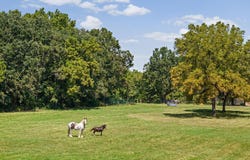 3371 S 8th Road, Humansville, MO 65674