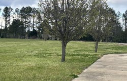 125 Mayfield Dr, West Point, MS 39773