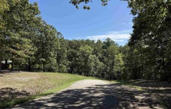 Hwy 87, Mountain View, AR 72560