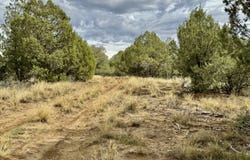 2647 Wrangler Way, Durango, CO 81301