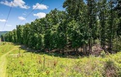 7 Dunwoody Road, LaFayette, GA 30728