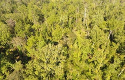 Comanche Road, Ragley, LA 70657