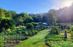 8480 St John Road, Hyampom, CA 96046