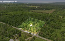 7028 Barney Road, Alanson, MI 49706