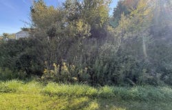 Hamilton Way lot: 67, Gladwin, MI 48624