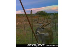 3402 County Road 196, Blackwell, TX 79506