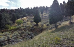 Hillside Dr, Soda Springs, ID 83276